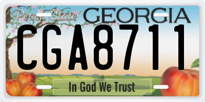 GA license plate CGA8711