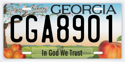 GA license plate CGA8901