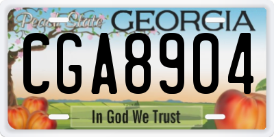 GA license plate CGA8904