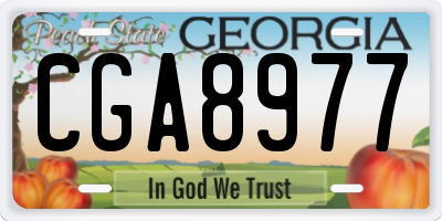 GA license plate CGA8977