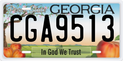 GA license plate CGA9513