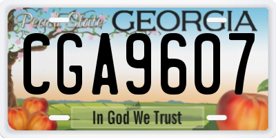 GA license plate CGA9607