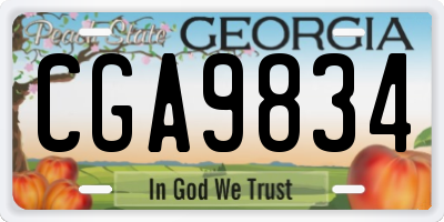 GA license plate CGA9834