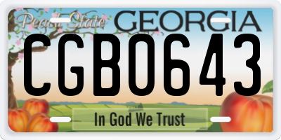 GA license plate CGB0643