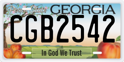 GA license plate CGB2542