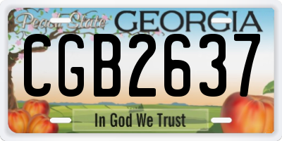 GA license plate CGB2637