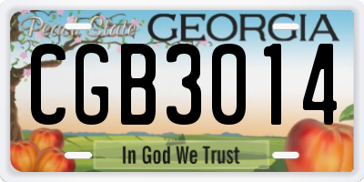 GA license plate CGB3014