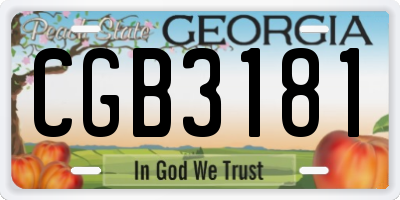 GA license plate CGB3181
