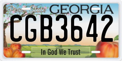 GA license plate CGB3642