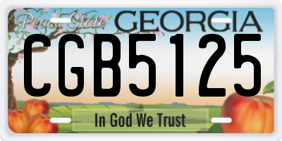 GA license plate CGB5125