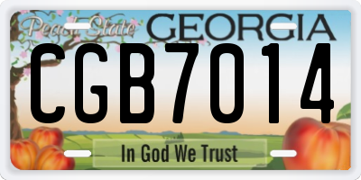 GA license plate CGB7014