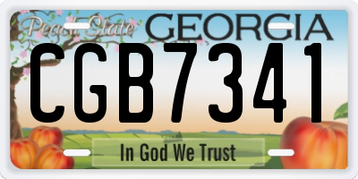 GA license plate CGB7341