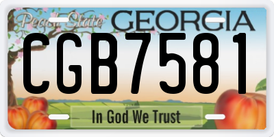 GA license plate CGB7581