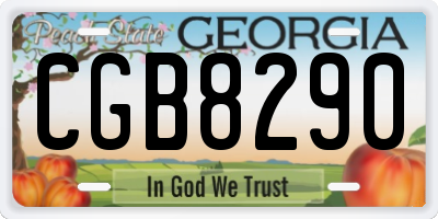 GA license plate CGB8290