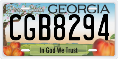 GA license plate CGB8294