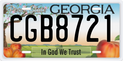 GA license plate CGB8721