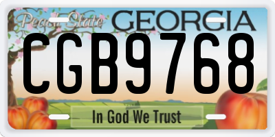 GA license plate CGB9768