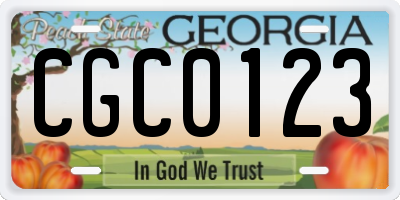 GA license plate CGC0123