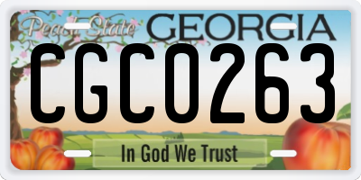 GA license plate CGC0263