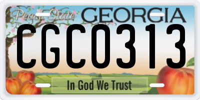 GA license plate CGC0313