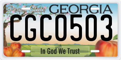 GA license plate CGC0503
