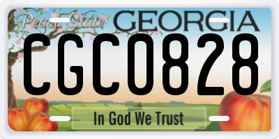 GA license plate CGC0828