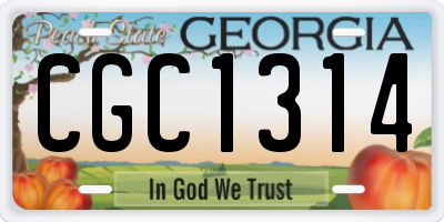GA license plate CGC1314