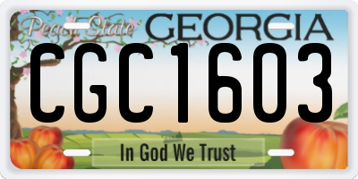 GA license plate CGC1603