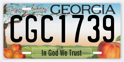 GA license plate CGC1739