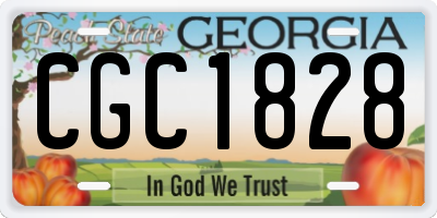 GA license plate CGC1828