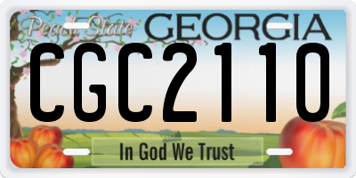 GA license plate CGC2110