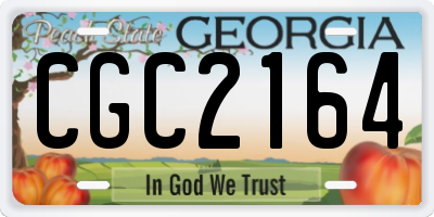 GA license plate CGC2164