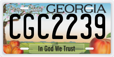 GA license plate CGC2239