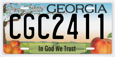 GA license plate CGC2411