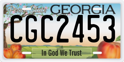 GA license plate CGC2453