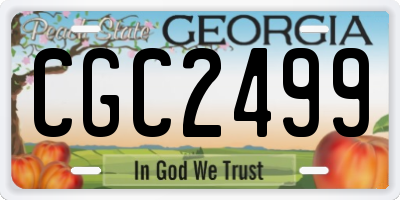 GA license plate CGC2499