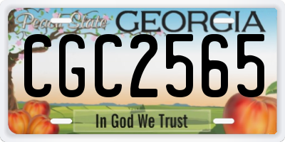 GA license plate CGC2565