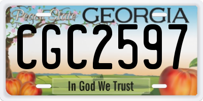 GA license plate CGC2597