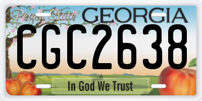 GA license plate CGC2638