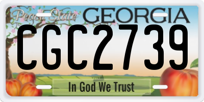 GA license plate CGC2739