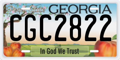 GA license plate CGC2822