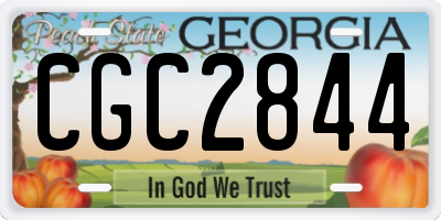 GA license plate CGC2844