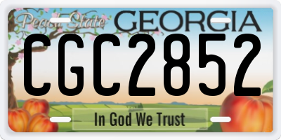 GA license plate CGC2852