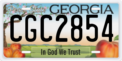 GA license plate CGC2854