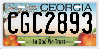 GA license plate CGC2893
