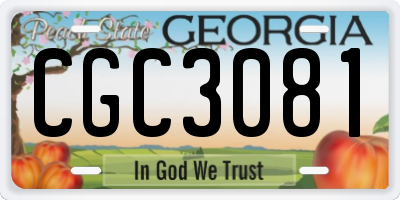 GA license plate CGC3081