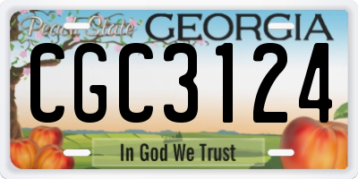 GA license plate CGC3124