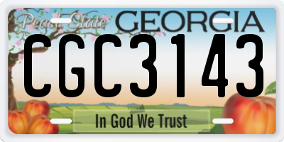 GA license plate CGC3143