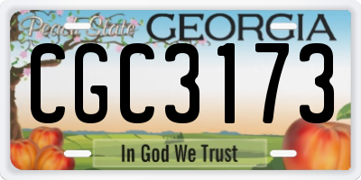 GA license plate CGC3173