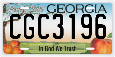 GA license plate CGC3196